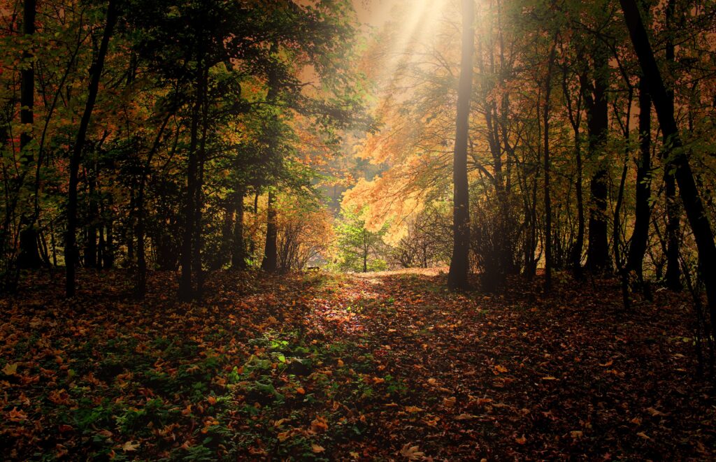 Mein Feuerabend im Herbst