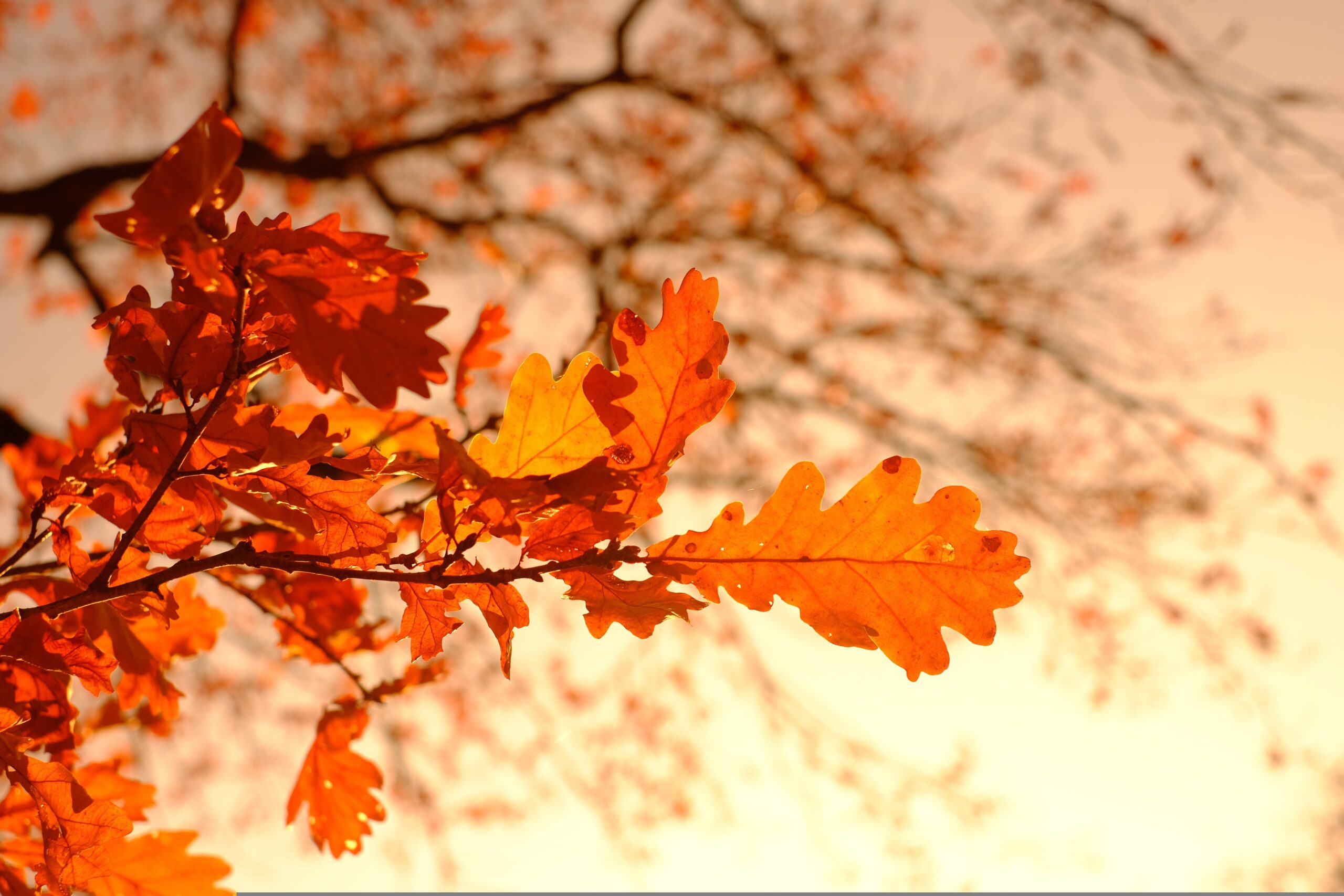 Mein Feuerabend im Herbst